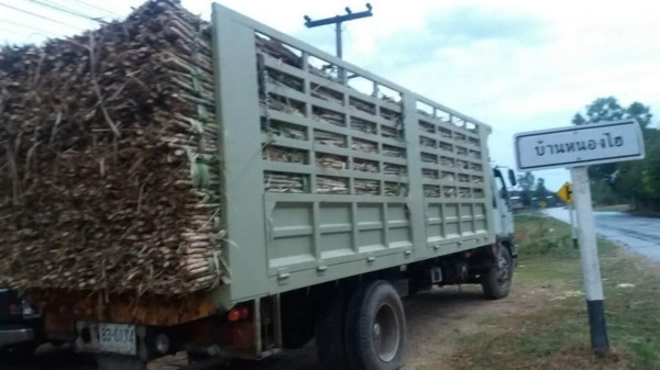 ขายรถ6ล้อใหญ่ เครื่อง195แรง ยาว6.50เมตร ปี39 เอกสารพร้อมโอน สนใจโทร 090-8588220คุณนะ 093-3258446คุณบิว หรือเข้าดูสินค้าอื่นๆได้ที่ www.truck.in.th/498 หรือเพจFacebook ณรงค์ ซื้อขายรถมือสอง (เว็บไซต์ส่วนตัว) หรือFacebook คุณนะ รถบรรทุก