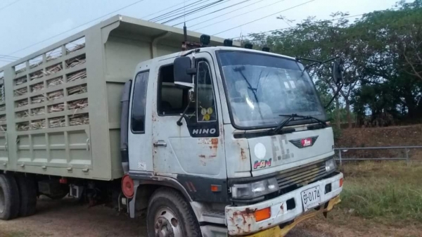 ขายรถ6ล้อใหญ่ เครื่อง195แรง ยาว6.50เมตร ปี39 เอกสารพร้อมโอน สนใจโทร 090-8588220คุณนะ 093-3258446คุณบิว หรือเข้าดูสินค้าอื่นๆได้ที่ www.truck.in.th/498 หรือเพจFacebook ณรงค์ ซื้อขายรถมือสอง (เว็บไซต์ส่วนตัว) หรือFacebook คุณนะ รถบรรทุก