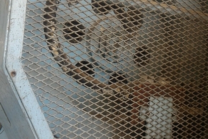 เครื่องปั๊มแอร์ครัช กดอัดขึ้นรูปชิ้นงาน ยี่ห้อ SAMYANG HEAVY MACHINERY ขนาดแรงกดปั๊ม 25 ตัน  (เหลือ 3 เครื่อง) เครื่องพร้อมใช้งานได้เลย