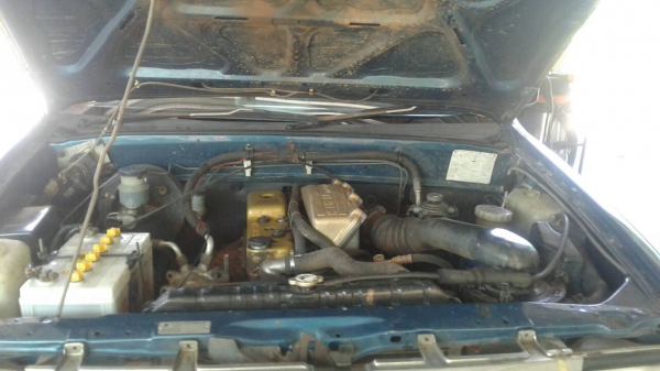 คามิโอ้ ราคาถูกจัด