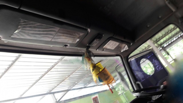 รถอีซูซุ 6 ล้อ รั้ว ( ไม่ดั้ม )  FTR  200 แรงม้า. ปี 49.   สนใจติดต่อ  081 - 6079515