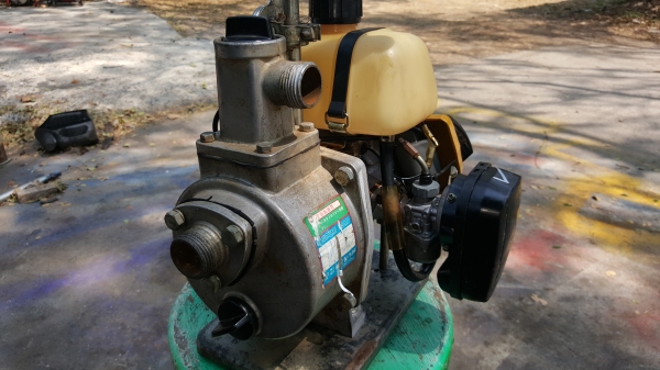 ปั้มน้ำโรบิน 1 x 1 นิ้ว ปั้มน้ำโรบิน 1 x 1 นิ้ว