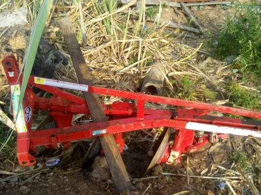 ขายผานสาม โครงสร้าง วิเชียร ขายผานสาม โครงสร้าง วิเชียร