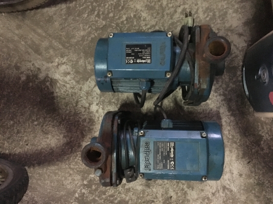 ขายปั้มนำ้Calpeda