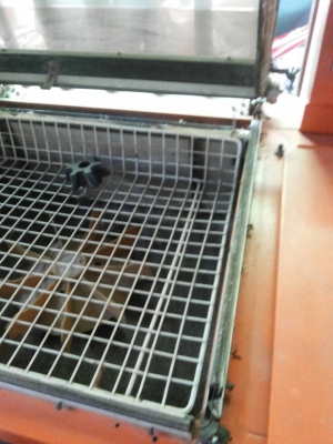 เครื่องซีลแพ็คและเป่าลมร้อนให้พลาสติกหดรัดให้แน่น ยี่ห้อ Alpha-Pack ใส่ม้วนพลาสติกที่จะแพ็คที่ด้านท้าย