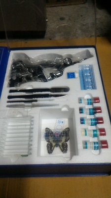 กล้องไมโครสโคป SPORT MASTER ของใหม่ขนาดเล็กเพื่อการศึกษาจากญี่ปุ่น  กำลังขยายถึง 50 - 450 เท่า มีกำลังขยายสามแบบ  ปรับโฟกัสได้