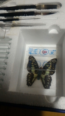 กล้องไมโครสโคป SPORT MASTER ของใหม่ขนาดเล็กเพื่อการศึกษาจากญี่ปุ่น  กำลังขยายถึง 50 - 450 เท่า มีกำลังขยายสามแบบ  ปรับโฟกัสได้