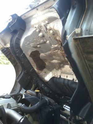 ขาย6ล้อHino Mega144แรงยูโร2ปี51 ตู้แห้งยาว5.50เมตร