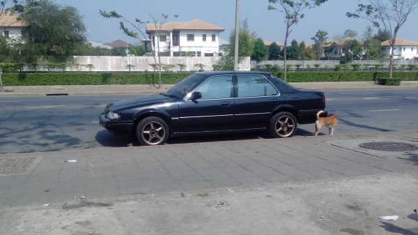 ขายรถเก๋ง Honda แอ๊คคอร์ด ปี88  35000 รถราคาถูกสภาพพร้อมใช้