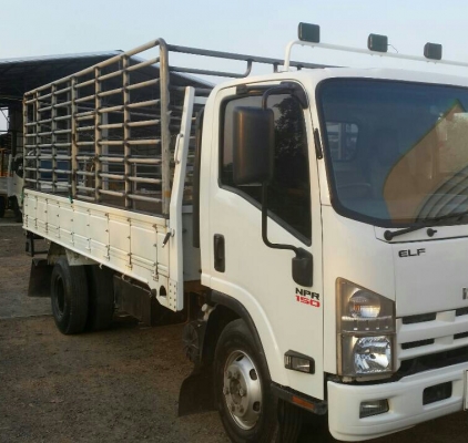 หกล้อ อีซูซุ NPR150ปี54ช่วงยาว5ม สภาพดีสวยรถใช้งานน้อย วิ่ง 180&times;&times;&times; กม รถพร้อมใช้งาน ทะเบียนพร้อมโอน