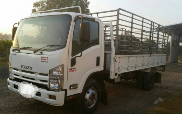 หกล้อ อีซูซุ NPR150ปี54ช่วงยาว5ม สภาพดีสวยรถใช้งานน้อย วิ่ง 180&times;&times;&times; กม รถพร้อมใช้งาน ทะเบียนพร้อมโอน