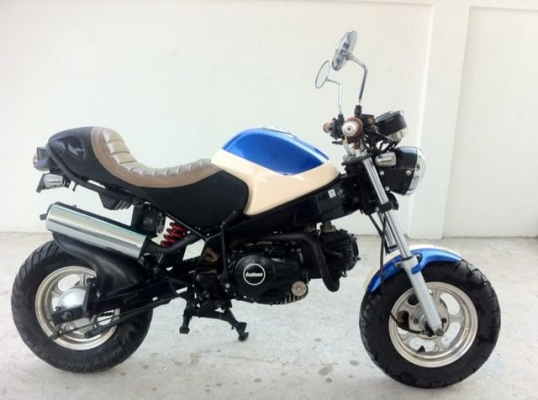 Stallion Solo 125 cc Mini สวย ใหม่วิ่งน้อย Stallion Solo 125 cc Mini สวย ใหม่วิ่งน้อย