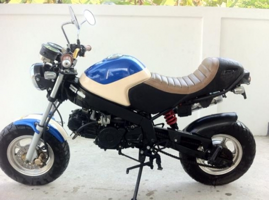 Stallion Solo 125 cc Mini สวย ใหม่วิ่งน้อย Stallion Solo 125 cc Mini สวย ใหม่วิ่งน้อย