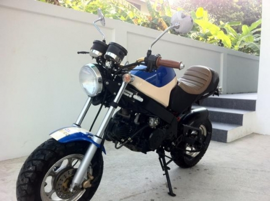 Stallion Solo 125 cc Mini สวย ใหม่วิ่งน้อย