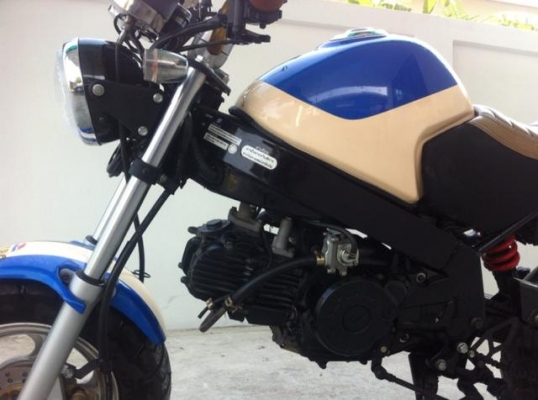 Stallion Solo 125 cc Mini สวย ใหม่วิ่งน้อย Stallion Solo 125 cc Mini สวย ใหม่วิ่งน้อย