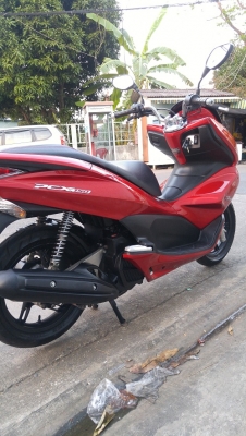 PCX150 2013 รถบ้านแท้ เจ้าของคนเดียว ภาษีพรบ 59