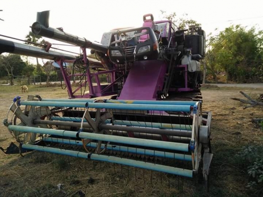 ศักดิ์พัฒนาราคาในเดือนนี้..เพราะราคาเริ่มขึ้นแล้ว..