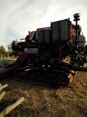 ศักดิ์พัฒนาราคาในเดือนนี้..เพราะราคาเริ่มขึ้นแล้ว..