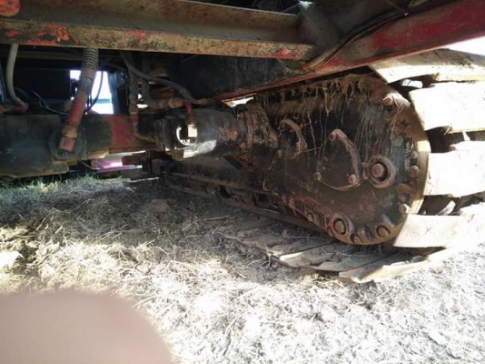 ศักดิ์พัฒนาราคาในเดือนนี้..เพราะราคาเริ่มขึ้นแล้ว..