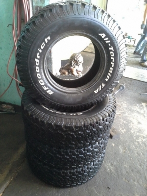 BF All USA. 31/10.5/15 ปี11 สภาพสวยๆ 1ชุด