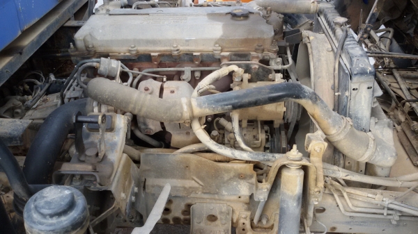 ขายด่วนรถบรรทุก 6 ล้อดัมพ์   ISUZU NQR  ปีจดทะเบียน 2548