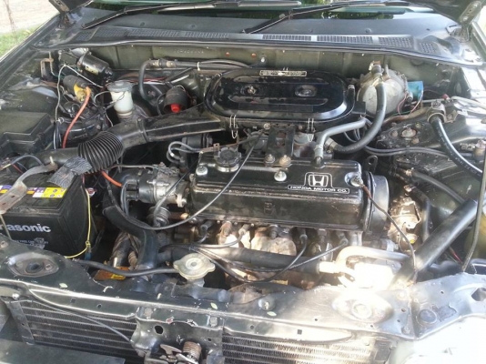 Honda รุ่น ACCORD 160 สบายๆ Honda รุ่น ACCORD 160 สบายๆ