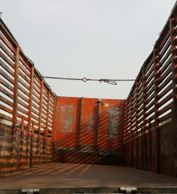 กระบะคอกไม้ รุ่นสิงห์ไฮเทค กระบะคอกไม้ รุ่นสิงห์ไฮเทค