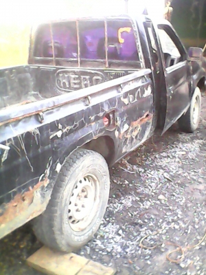 ขายกระดองพร้อมคัสซี มีเอกกสารbig-m ขายกระดองพร้อมคัสซี มีเอกกสารbig-m