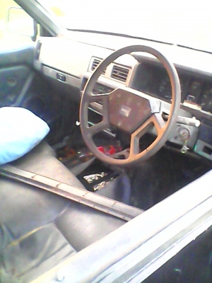 ขายกระดองพร้อมคัสซี มีเอกกสารbig-m ขายกระดองพร้อมคัสซี มีเอกกสารbig-m