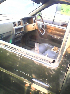 ขายกระดองพร้อมคัสซี มีเอกกสารbig-m ขายกระดองพร้อมคัสซี มีเอกกสารbig-m