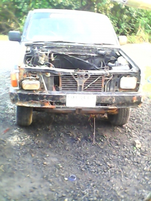 ขายกระดองพร้อมคัสซี มีเอกกสารbig-m ขายกระดองพร้อมคัสซี มีเอกกสารbig-m