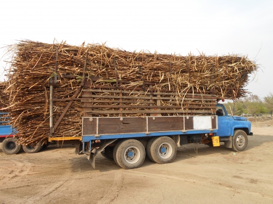 ขายสองเพลาไม่ดั้มเครื่อง 265 แรงขอบคุณเสี่ยให่ญจัยดีจังหวัดเลยมัดจำแล้วครับรับรถ 20 ก.พ.59ครับ