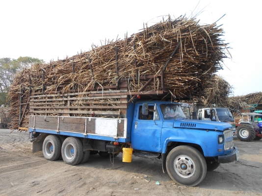 ขายสองเพลาไม่ดั้มเครื่อง 265 แรงขอบคุณเสี่ยให่ญจัยดีจังหวัดเลยมัดจำแล้วครับรับรถ 20 ก.พ.59ครับ