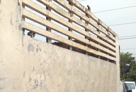 10ล้อ2เพลาดั้ม HINO F-17 HO7C-185แรง ดั้มเหล็กเกษตร ข้างเรียบ ราคาเบาๆ ** ขาย 10ล้อ HINO FM-17 185แรง 2เพลาดั้มข้างเรียบ HINO FM177LA HO7C-185HP เครื่อง/เกียร์ ลงเล่ม เครื่อง/เกียร์ ดี แน่น ช่วงล่างดี คัสซีดี สวย หัวเก่งดี ภายในดี พ.