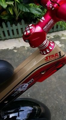 ขายถูกๆ ล้อเดียว นั่งได้ เล่นแค่ 2 ครั้ง สภาพเหมือนใหม่