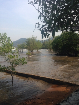 ขายด่วนค่ะ!!!รีสอรท ส่วนตัวค่ะ ที่ดินอยุ่ เกาะช้าง จ ตราด พื้นที่ด้านหน้าติดทะเล ด้านหลังติดภูเขา มีน้ำตก ไหลผ่าน มีบ้านพักส่วนตัว4 หลัง เนื้อที่1ไร่2 งานเศษ