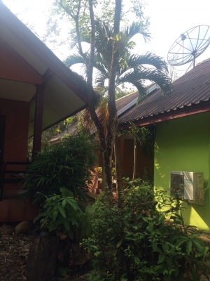 ขายด่วนค่ะ!!!รีสอรท ส่วนตัวค่ะ ที่ดินอยุ่ เกาะช้าง จ ตราด พื้นที่ด้านหน้าติดทะเล ด้านหลังติดภูเขา มีน้ำตก ไหลผ่าน มีบ้านพักส่วนตัว4 หลัง เนื้อที่1ไร่2 งานเศษ