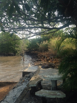 ขายด่วนค่ะ!!!รีสอรท ส่วนตัวค่ะ ที่ดินอยุ่ เกาะช้าง จ ตราด พื้นที่ด้านหน้าติดทะเล ด้านหลังติดภูเขา มีน้ำตก ไหลผ่าน มีบ้านพักส่วนตัว4 หลัง เนื้อที่1ไร่2 งานเศษ