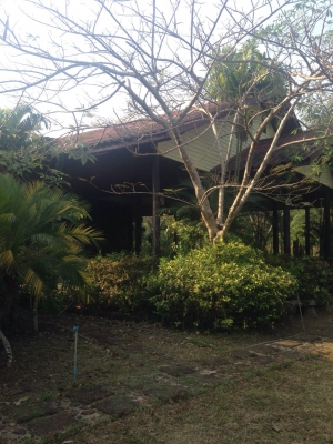 ขายด่วนค่ะ!!!รีสอรท ส่วนตัวค่ะ ที่ดินอยุ่ เกาะช้าง จ ตราด พื้นที่ด้านหน้าติดทะเล ด้านหลังติดภูเขา มีน้ำตก ไหลผ่าน มีบ้านพักส่วนตัว4 หลัง เนื้อที่1ไร่2 งานเศษ