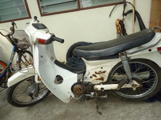 ็Honda dream คุรุสภา