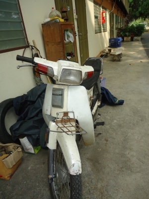 ็Honda dream คุรุสภา