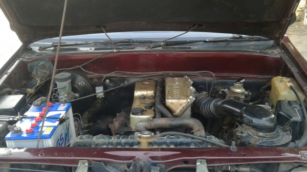 มังกรทองยอดประหยัด พร้อมใช้งาน ถูกสุดๆ 87,000