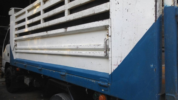 รถอีซูซุ 6 ล้อดั้ม NQR 150 แรงม้า. ปี 50.  ( รถวิ่ง 26x,xxx กม. )    สนใจติดต่อ  081 - 6079515