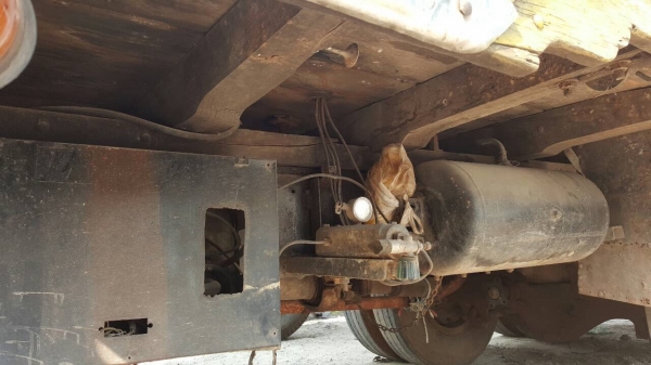 ขาย 10 ล้อ เพลาเดียว HINO KT920 ติดแก๊ส 8 ถัง เครื่อง EH700 168 แรงม้า คัสซีสวย วางหัว F18 ทะเบียนพร้อมโอน