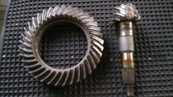 เฟืองบายสี เดือยหมู 8:37 = 4.63 ใส่มิตซู