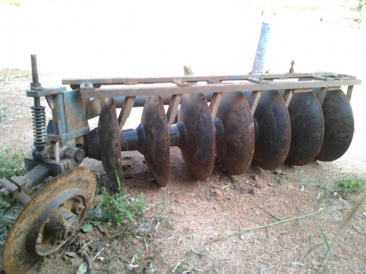 ขายด่วน ผาน7/26  สวย ใบเต็มใช้งานได้เลย