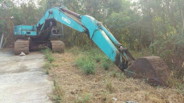 SK 200ขายดาวหรือตัดสดก็ได้ครับ