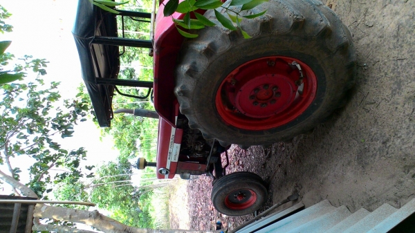 ขายรถไถแมสซี่185เพลาเหลี่ยมผาน7 ขายรถไถแมสซี่185เพลาเหลี่ยมผาน7