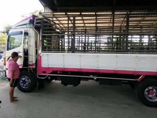 ขอขอบคุนมากคับพี่เสือและทีมงานแทคทูแฮรนมากคับขายหกล้อเมคก้าเคาื่อง175 ปี48 รถบ้านสภาพพร้อมใช้งานยางเรเดียล