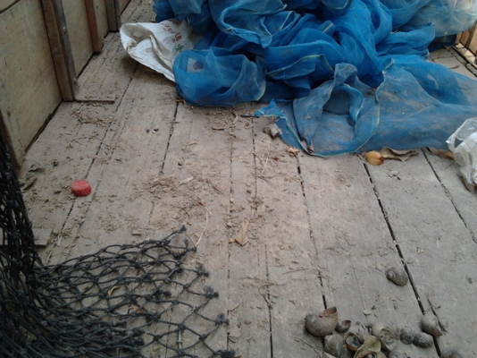 ***ขายแล้วครับขอบคุณ Truck2hand ขาย แต๋น4ล้อคอกสูง เครื่องใหม่RT140+PLUS พึ่งวางไม่ถึง2เดือน ช่วงล่างเดิม คัสซีหน้า4 เกียร์ดี กระบะพื้นไม้คอกไม้สูง ทรงดี ไม่โยกไม่คลอน ยางดี4เส้น พร้อมใช้ พร้อมลุยงาน ราคาต่อรองได้ครับ